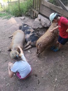 Kuscheln mit den Kune Kunes