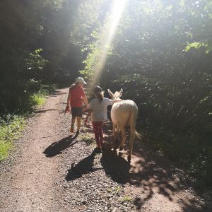 Spaziergang mit Esel